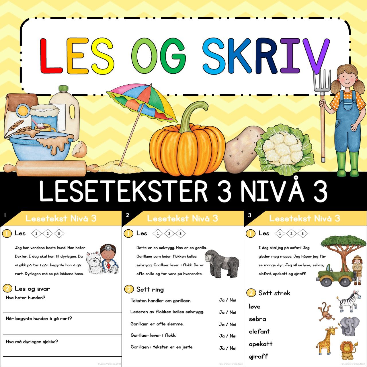 Les og skriv – Lesetekster 3 Nivå 3