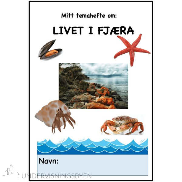 Mitt temahefte om: Livet i fjæra