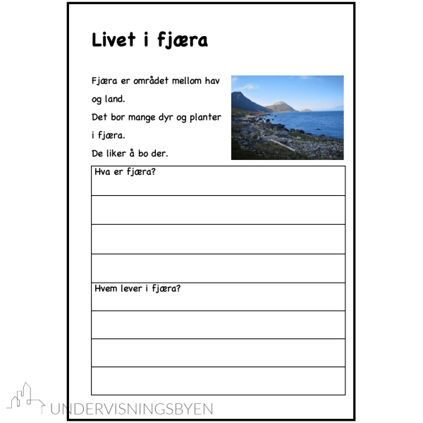 Mitt temahefte om: Livet i fjæra - Bilde 2