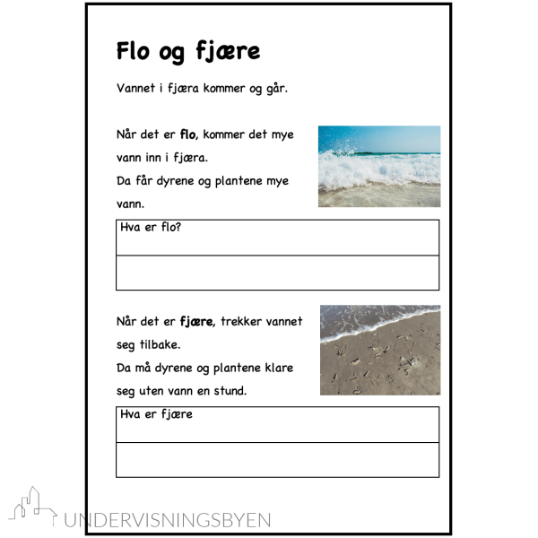 Mitt temahefte om: Livet i fjæra - Bilde 3