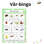 Vår-bingo