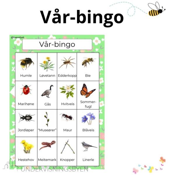 Vår-bingo