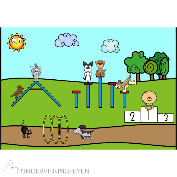REGN OG BYGG agility - Bilde 2