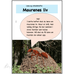 Maurenes liv