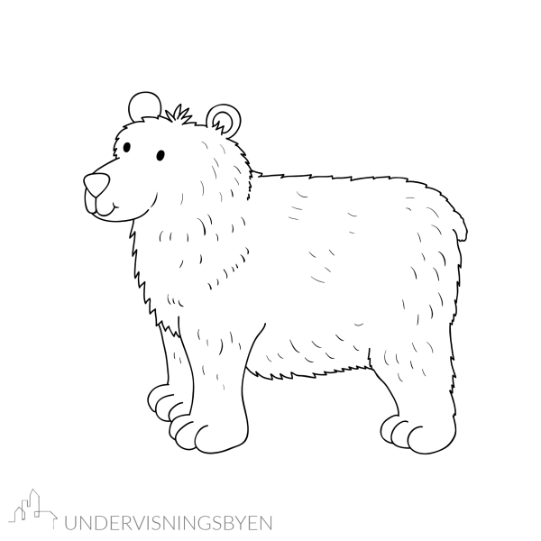 Skyggeteater til den engelske boka Brown Bear, Brown Bear, What do you see? - Bilde 2