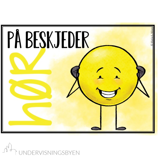Klasseregler - Bilde 2