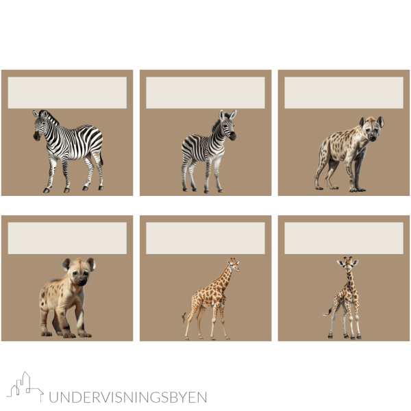 Klasseromsdekor Safari Dørdekor - Bilde 4