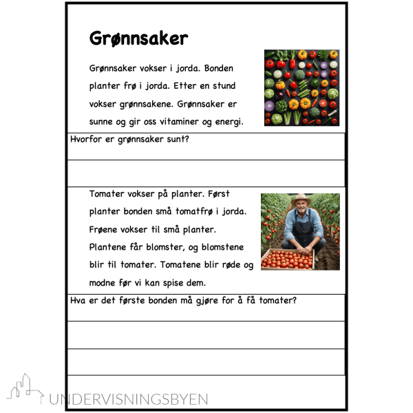Maten vår - hvor kommer maten vår fra? - Bilde 8