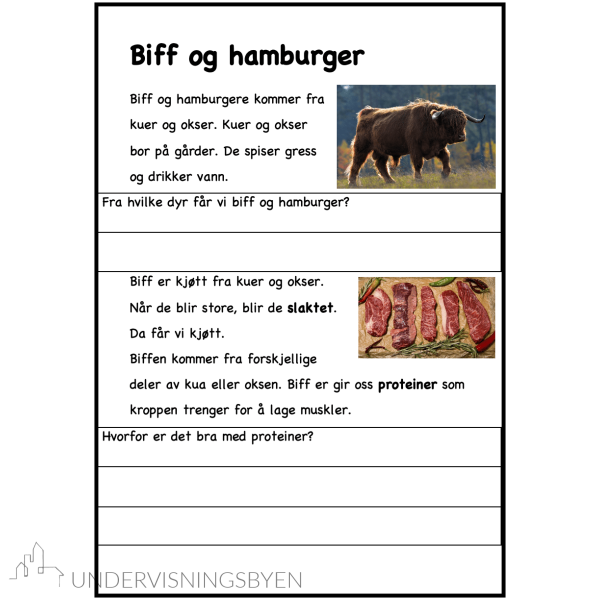 Maten vår - hvor kommer maten vår fra? - Bilde 7