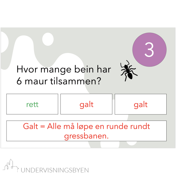 Matterebus med multiple choice - Bilde 3