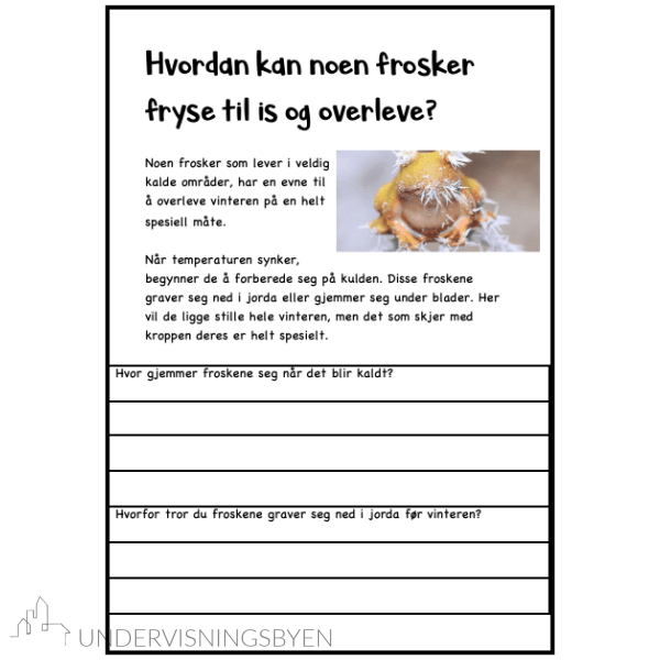 Hæ??? - utrolige hemmeligheter fra dyrenes verden - Bilde 2