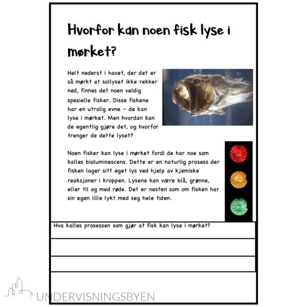 Hæ??? - utrolige hemmeligheter fra dyrenes verden - Bilde 5