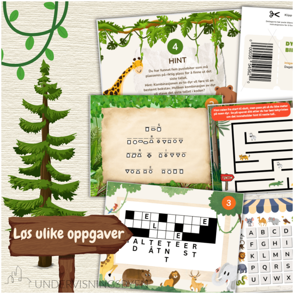 Escape room - Dyrepark - NORSK - Bilde 3