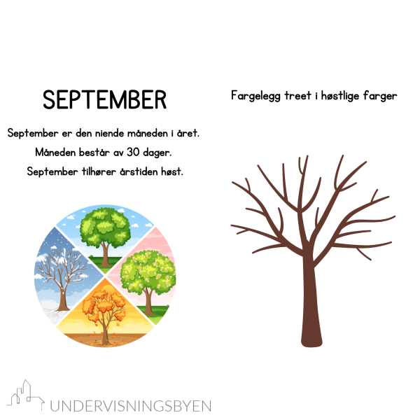 Arbeidshefte for september / aktivitetshefte / 22 sider / varierte oppgaver / barneskolen / småtrinnet - Bilde 3
