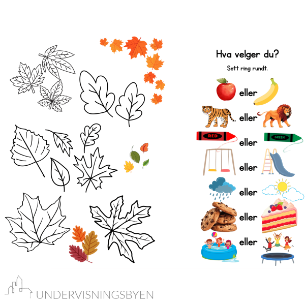 Arbeidshefte for september / aktivitetshefte / 22 sider / varierte oppgaver / barneskolen / småtrinnet - Bilde 4
