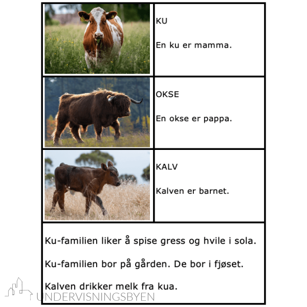 Jeg leser og lærer om dyrefamilier - Bilde 4