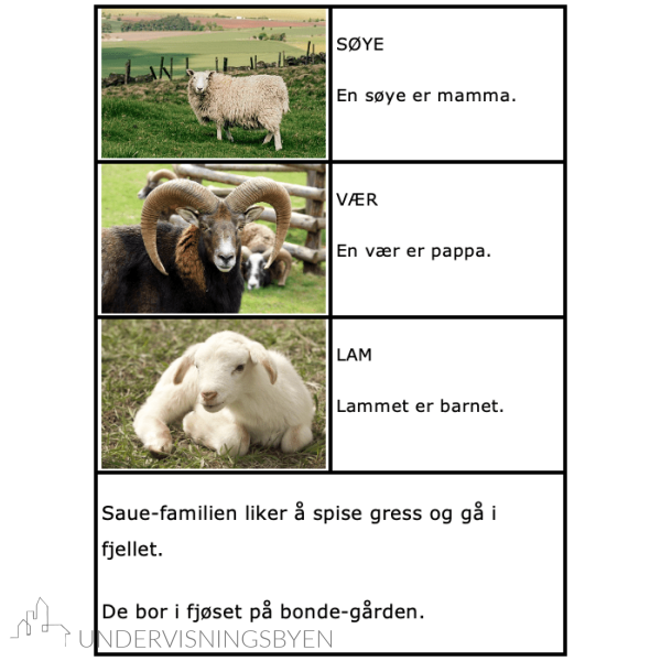 Jeg leser og lærer om dyrefamilier - Bilde 3
