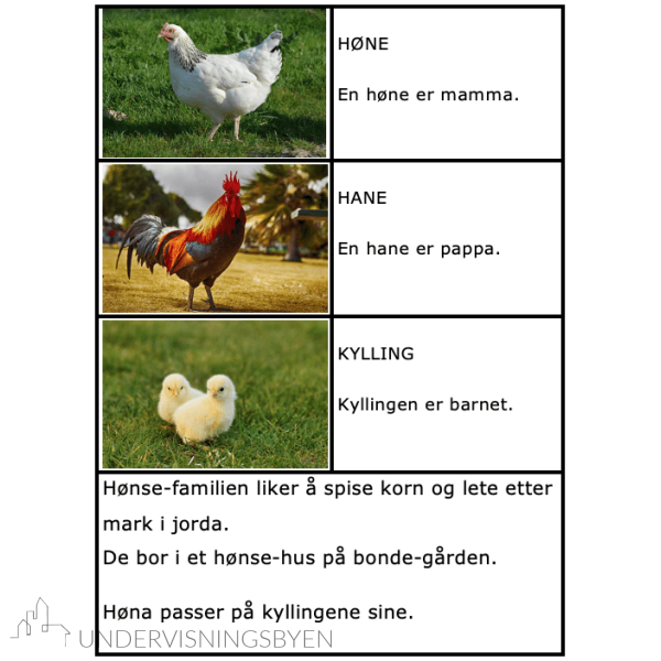 Jeg leser og lærer om dyrefamilier - Bilde 2