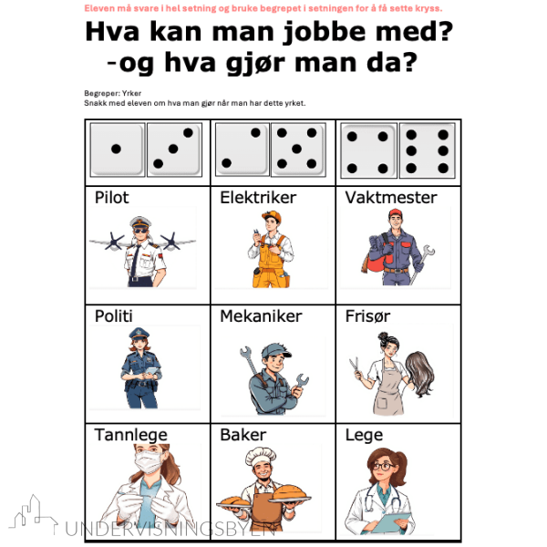 Begrepsbingo - 20 begrepskategorier - Bilde 2