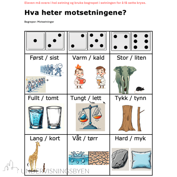 Begrepsbingo - 20 begrepskategorier - Bilde 3