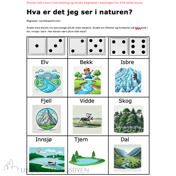 Begrepsbingo - 20 begrepskategorier - Bilde 4