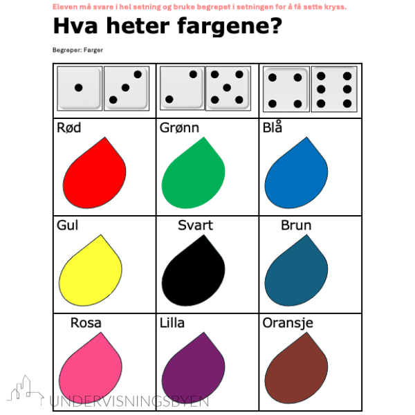 Begrepsbingo - 20 begrepskategorier - Bilde 5