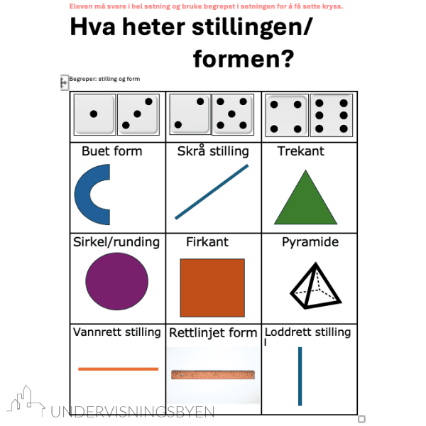 Begrepsbingo - 20 begrepskategorier - Bilde 6