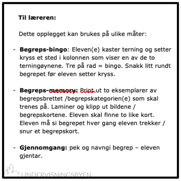 Begrepsbingo - 20 begrepskategorier - Bilde 7