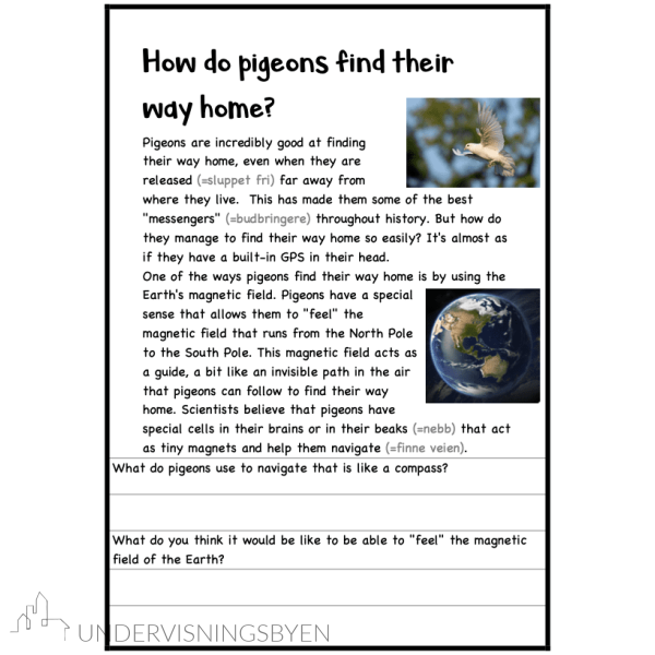 Say what???- Incredible secrets from the animal world - Bilde 7