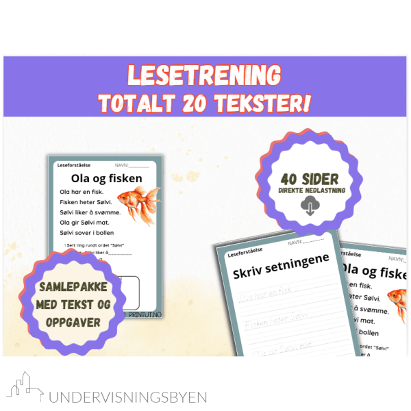 SAMLEPAKKE - lesetrening - 20 tekster/40 sider!