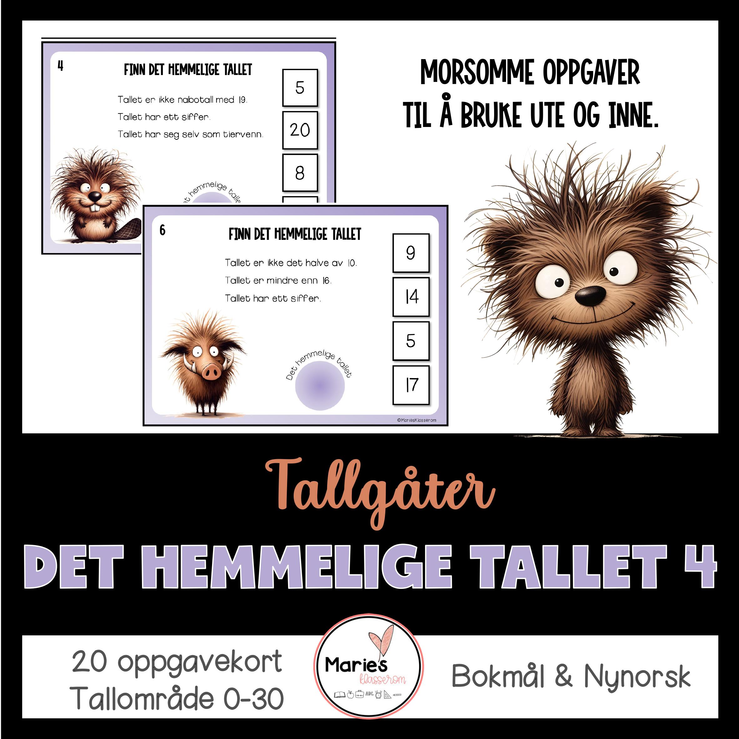 DET HEMMELIGE TALLET 4 tallgåter