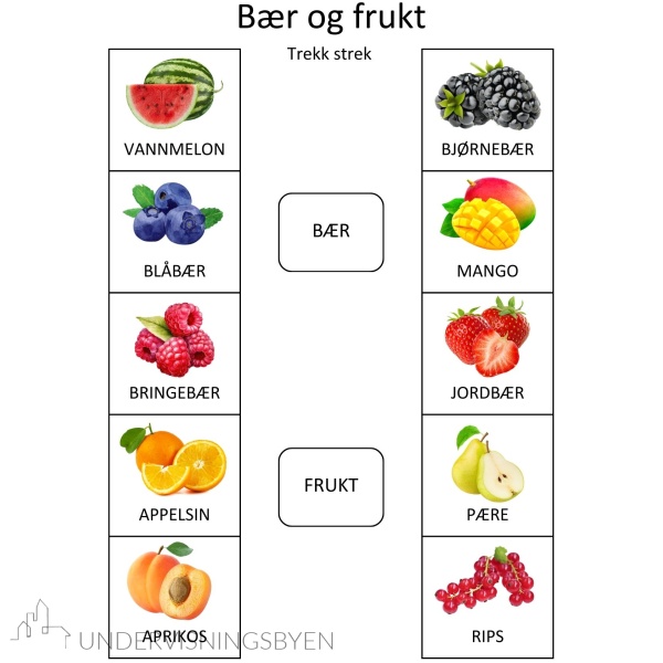 SAMLEPAKKE - kategorisering og sortering - arbeidshefte 1 & 2 - Bilde 17