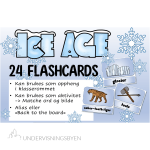 Ice Age – English Flashcards