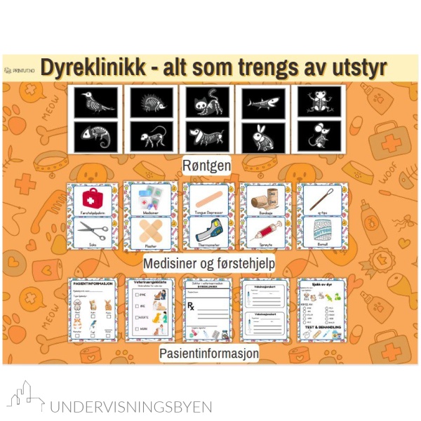 Rollespill Dyreklinikk - Bilde 3