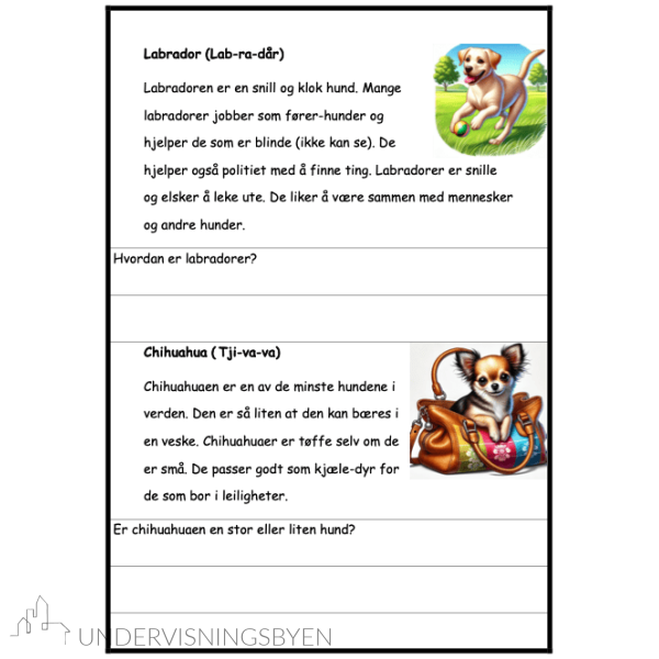 Voff! - Mitt lesehefte om hunder - BM - Bilde 2