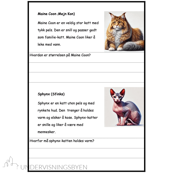 Mjau - Mitt lesehefte om katter - BM - Bilde 2