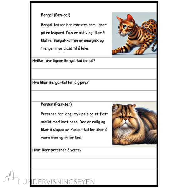 Mjau - Mitt lesehefte om katter - BM - Bilde 3