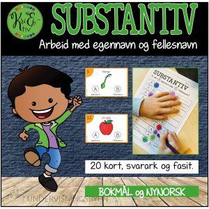 SUBSTANTIV (BM og NN)