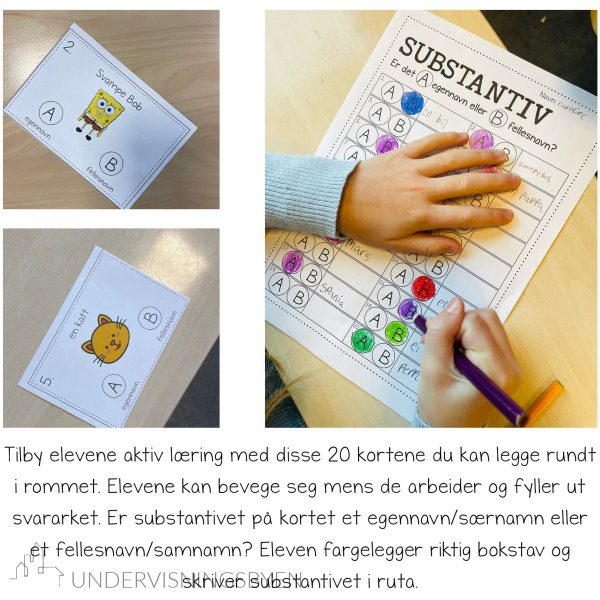 SUBSTANTIV (BM og NN) - Bilde 2