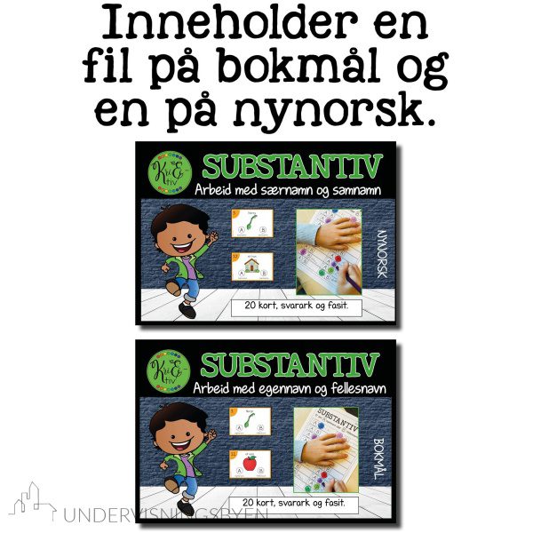 SUBSTANTIV (BM og NN) - Bilde 3