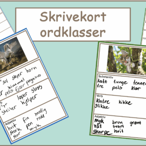 Skrivekort ordklasser