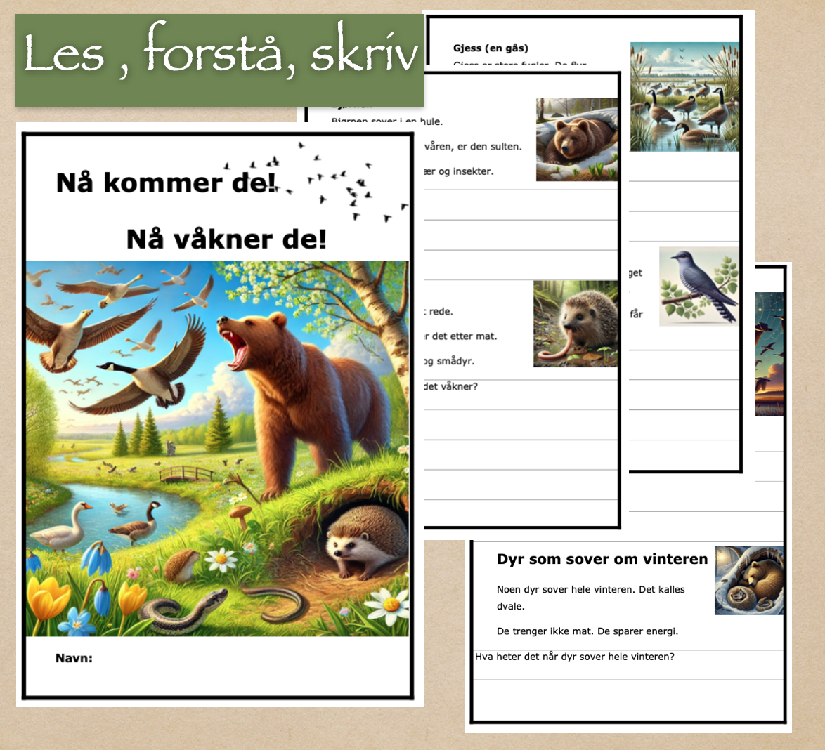 N Kommer De N V kner De Les Forst Skriv BM Ca 2 3 trinn 
