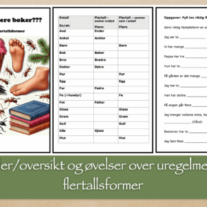 En bok -flere boker??? Om uregelmessige bøyninger – BM -norsk som 2.språk – Norsk ca 3.-5.trinn