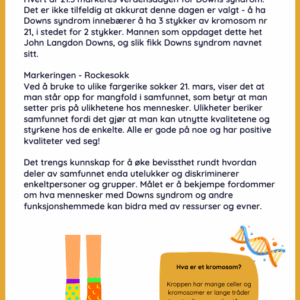 Verdensdagen for Downs syndrom - Rockesokk