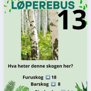 Løperebus i skogen – Norske trær