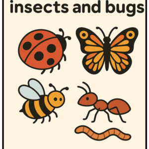 Meet our insects and bugs – read and write – enkle setninger – ca 2.-4.trinn